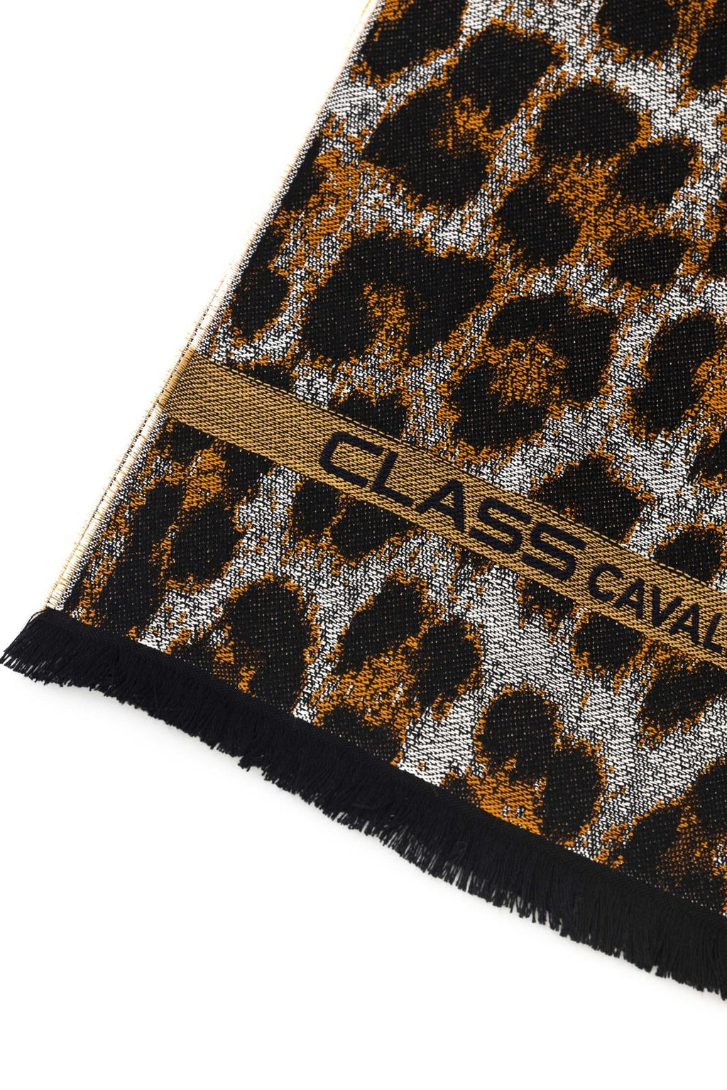 Cavalli Class Sciarpe SC4HWMV0770 – Braun 2